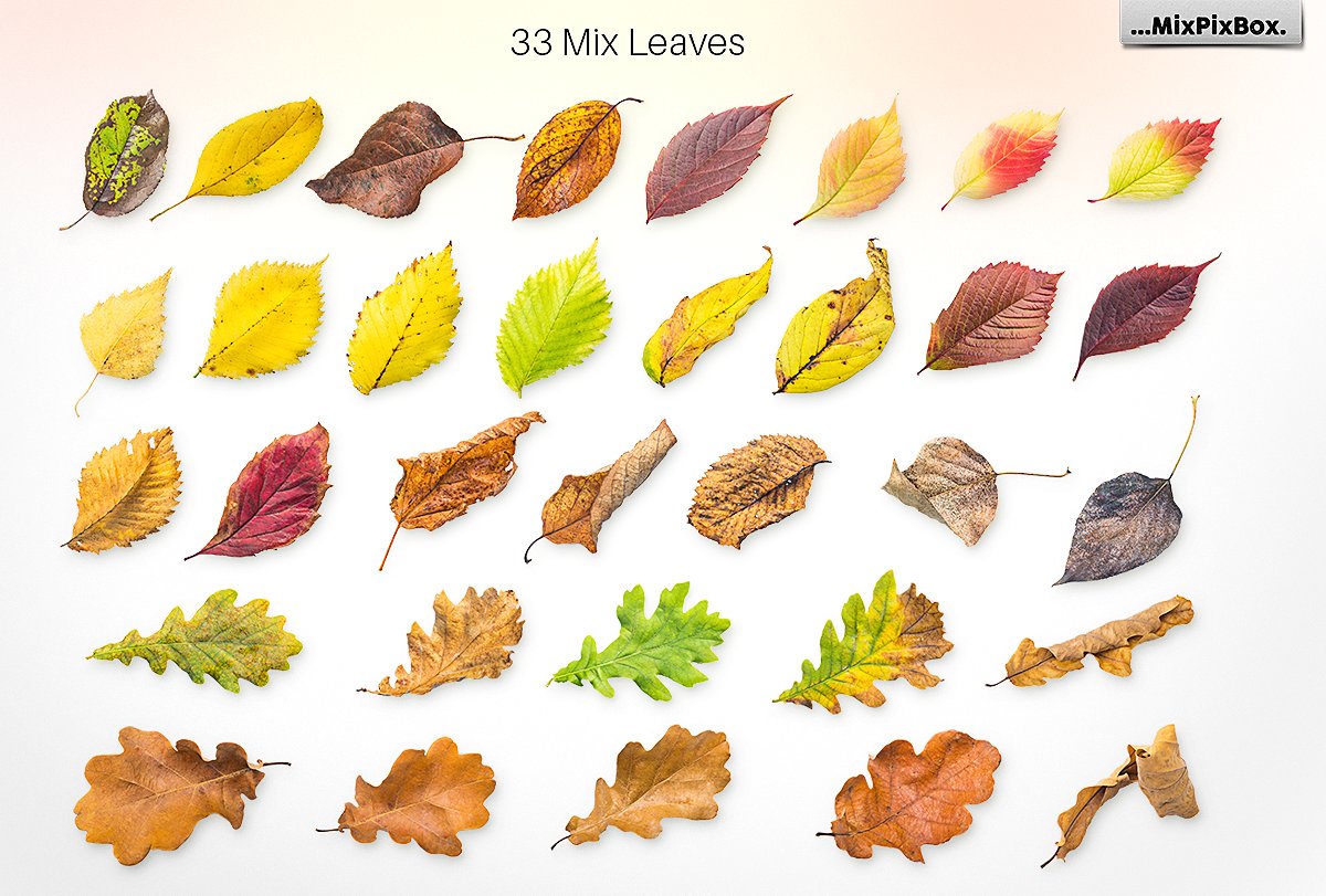 Autumn Leaves Creator Kit