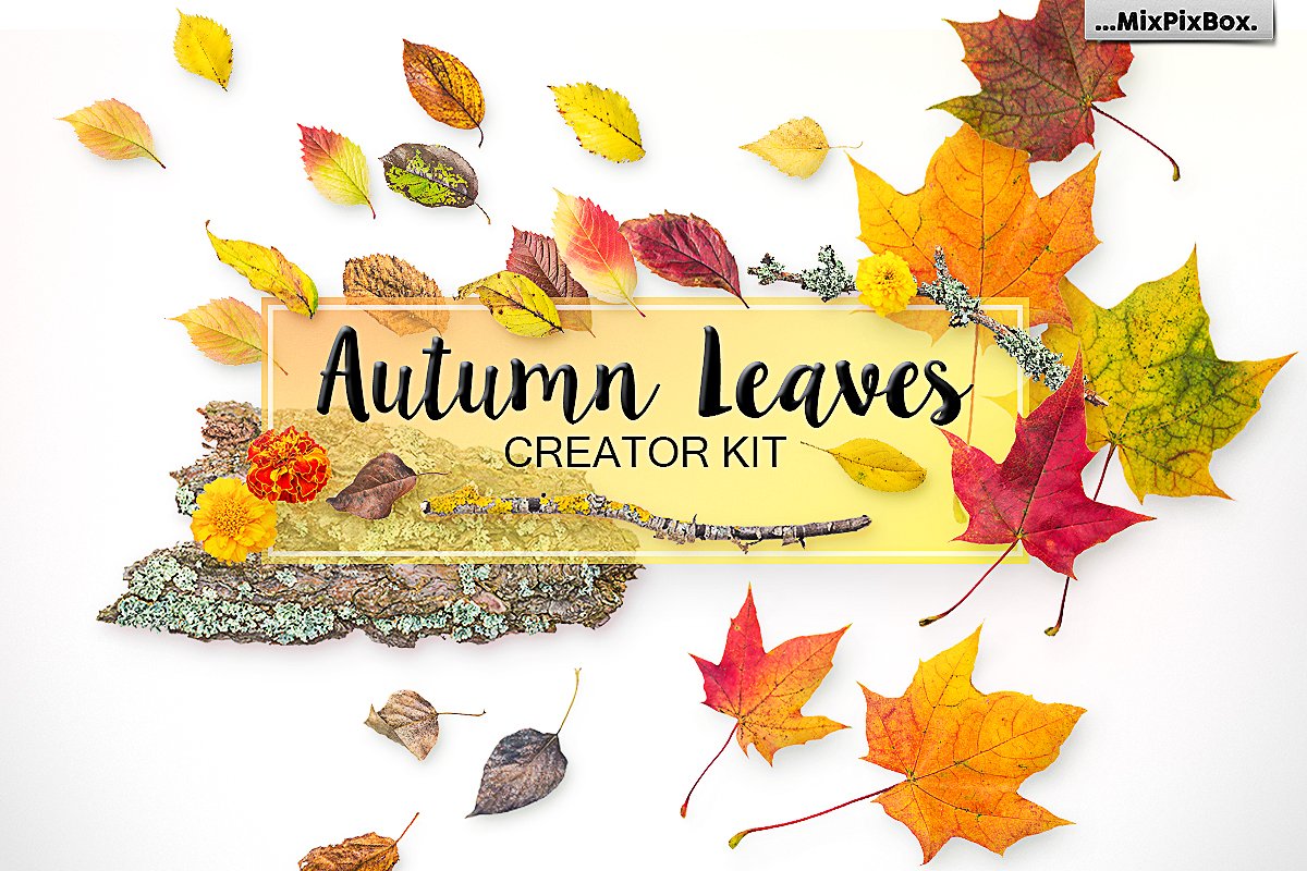 Autumn Leaves Creator Kit