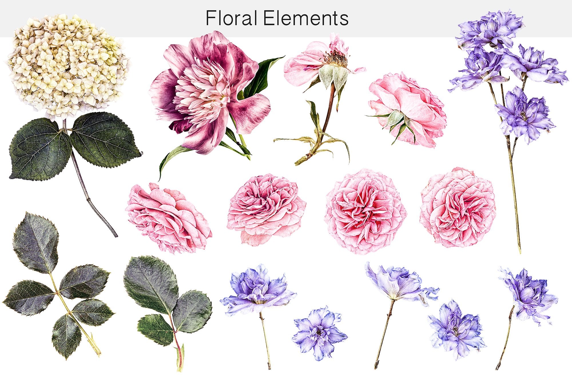 Flower Studio: Modern digital clipart