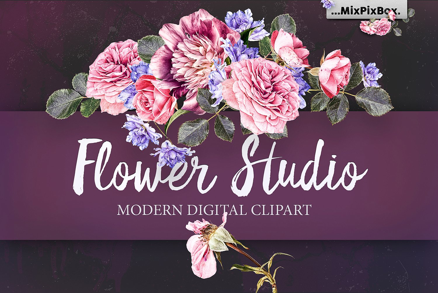 Flower Studio: Modern digital Clipart 