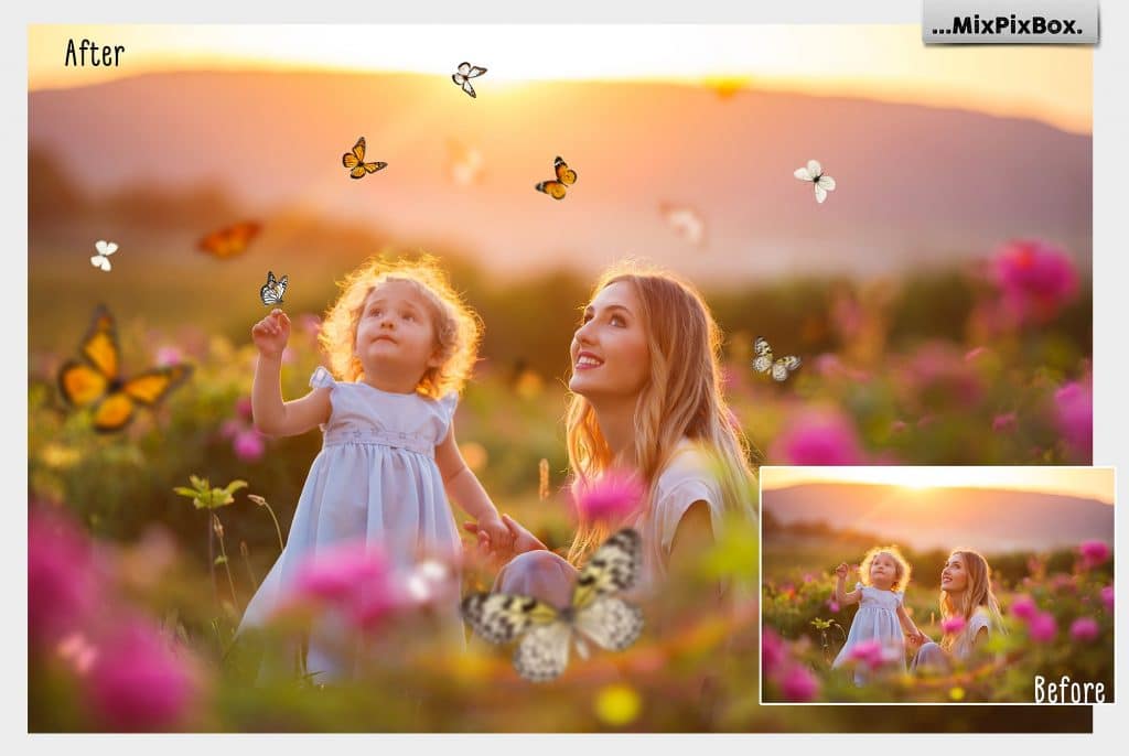 86 Butterflies Photo Overlays