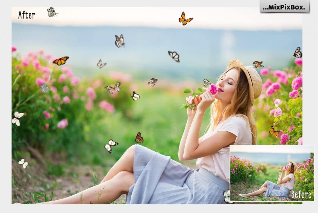 86 Butterflies Photo Overlays