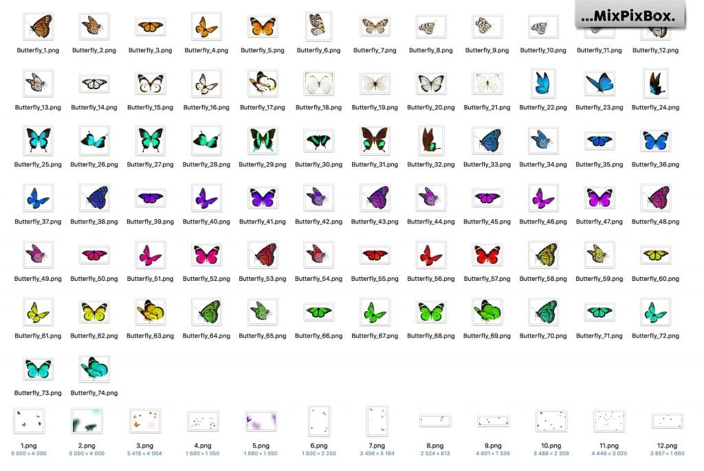 Butterfly Clipart