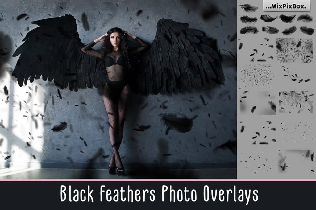 29 Black Feathers Overlays