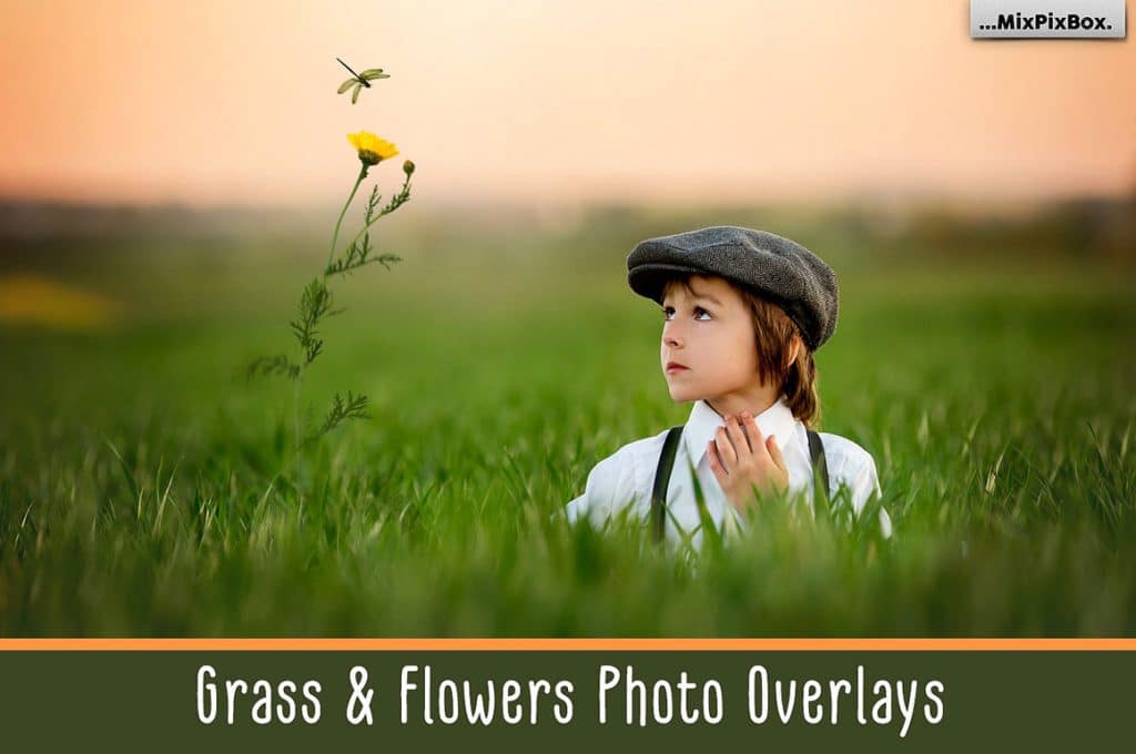 A little boy had a photo set on the field.