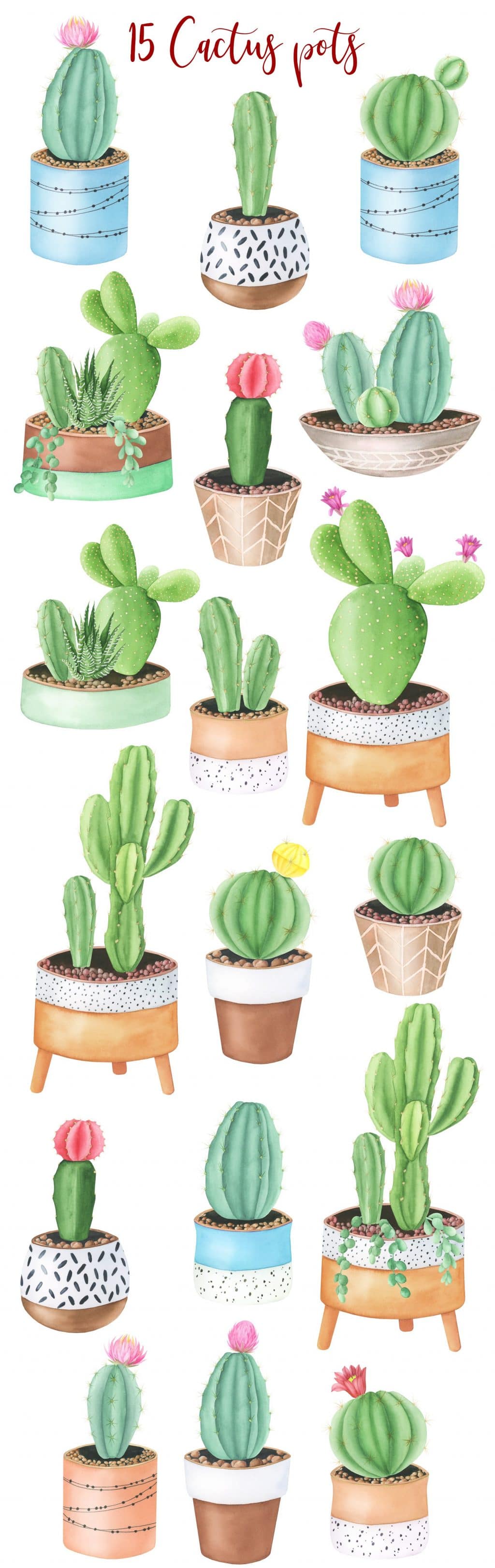 Watercolor Cactus in Pots.