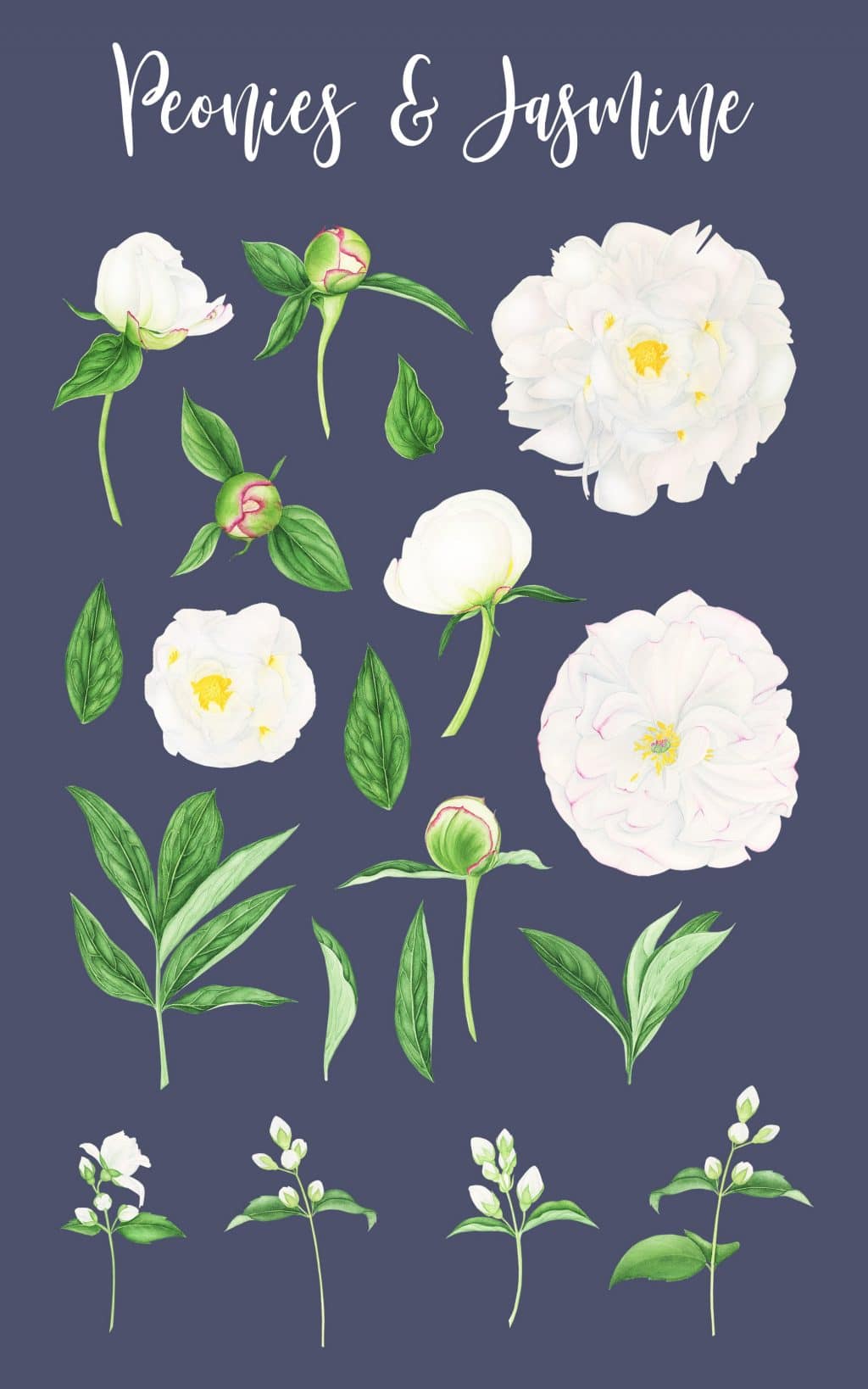 Floral Patterns 