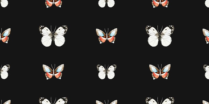 Butterfly Clipart