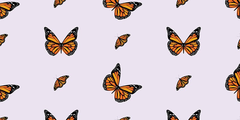 Butterfly Clipart