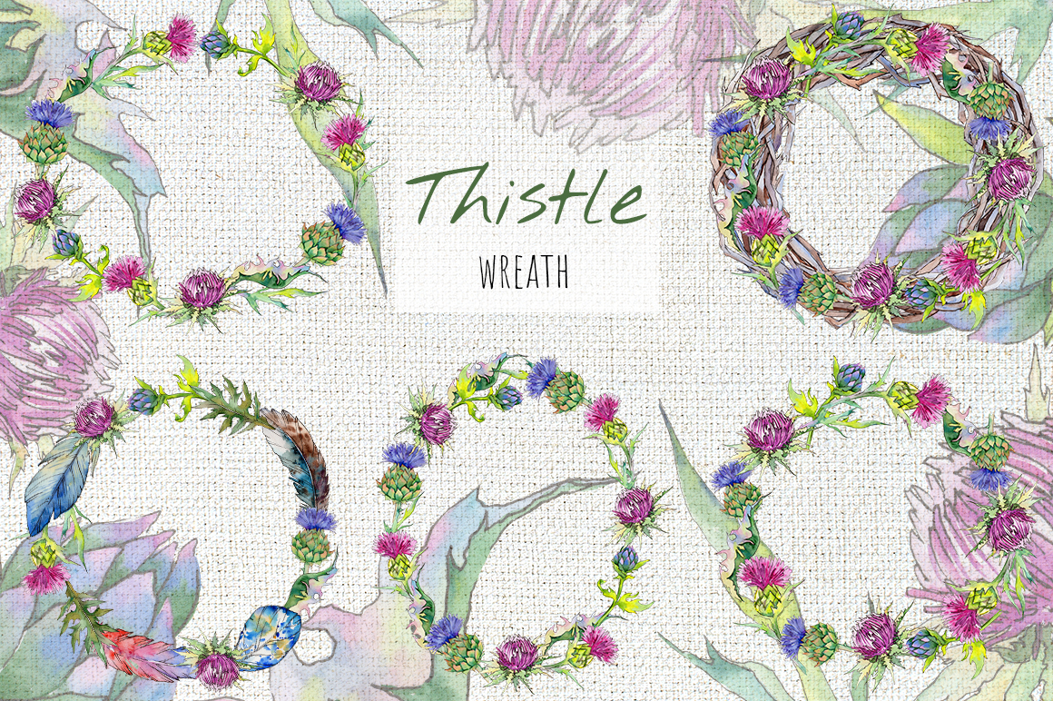 Thistle Flowers Collection PNG Watercolor Set.
