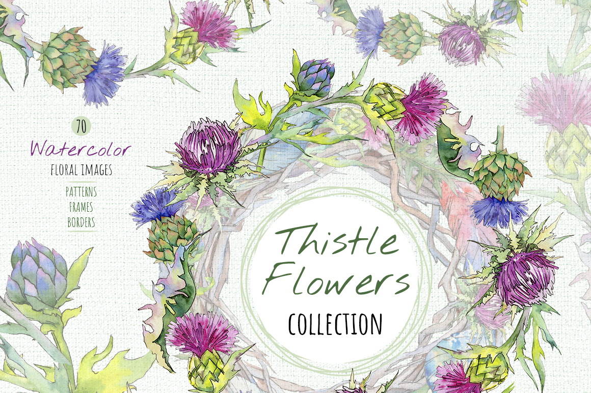 Thistle Flowers Collection PNG Watercolor Set