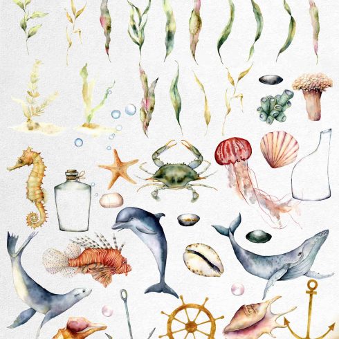 Underwater Watercolor Clip Art - $15 | Master Bundles