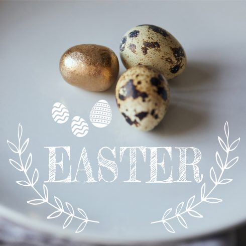 200+ Premium Easter Background in 2021: Free Vectors, Photos PSD files and Elements in Web Design