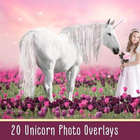 Cute Pony: Unicorn Clipart Collection