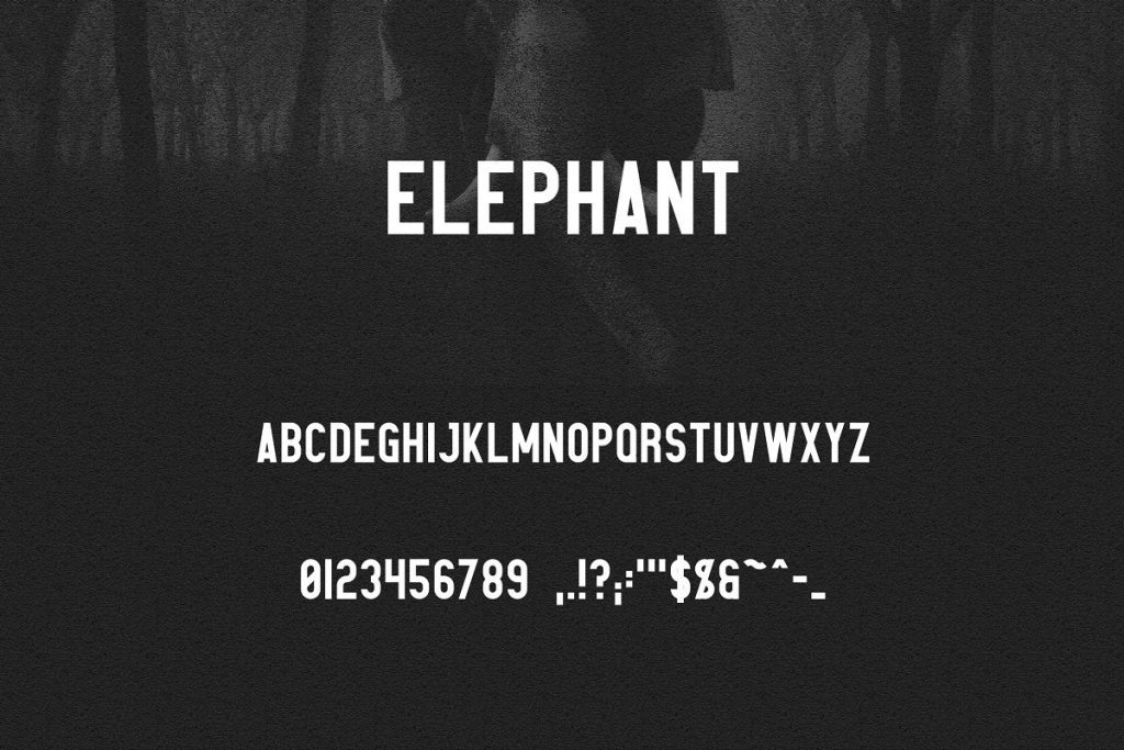 Elephant Font Family: Family Matters Fonts- 50% - Master Bundles