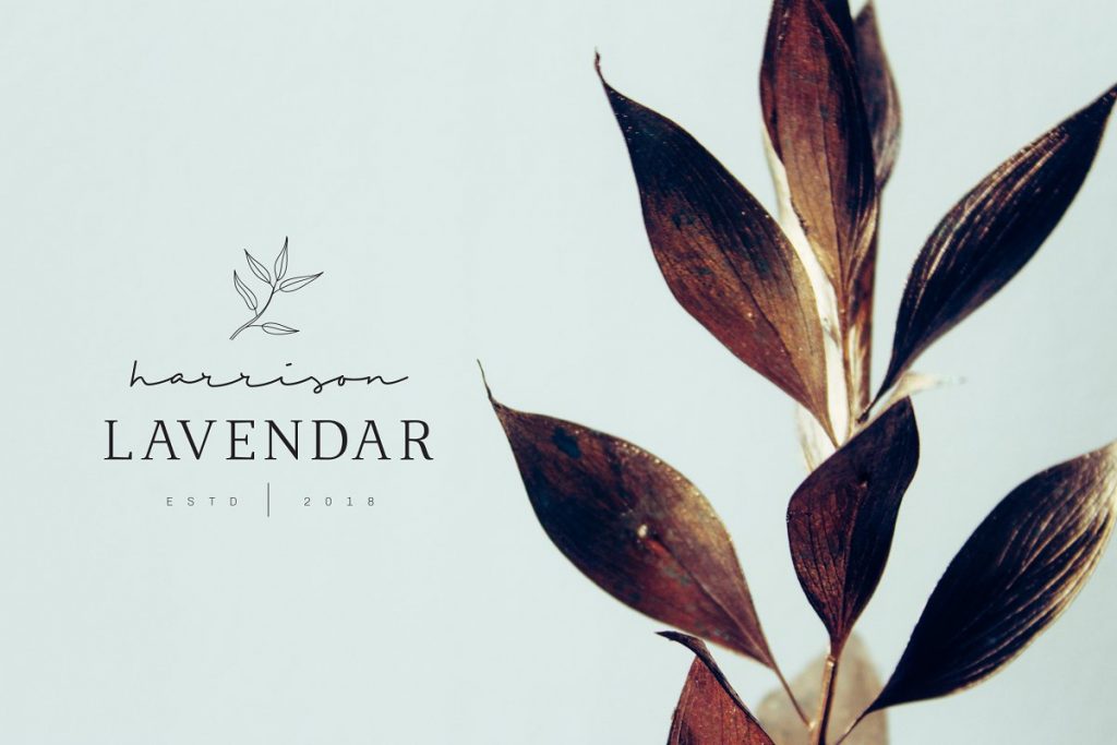 Girly Logo: Feminine Branding Premade Logos V01 – MasterBundles