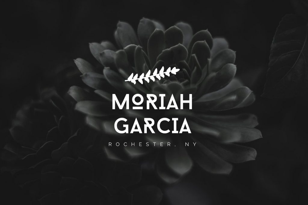 Girly Logo: Feminine Branding Premade Logos V01 – MasterBundles