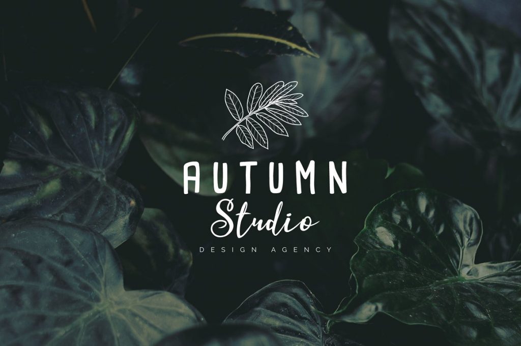 Girly Logo: Feminine Branding Premade Logos V01 – MasterBundles