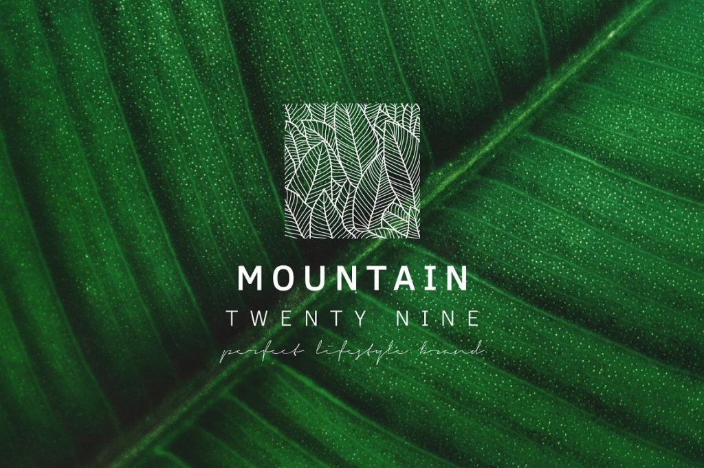 Feminine Branding Premade Logos V02 – MasterBundles