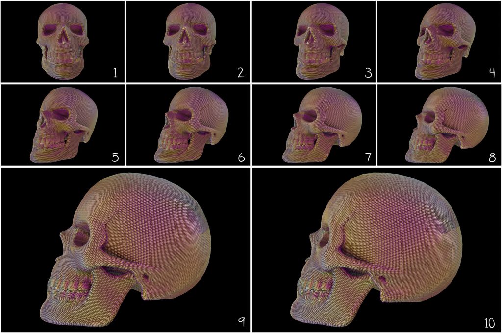 Skull PNG: Skull Textured Effect