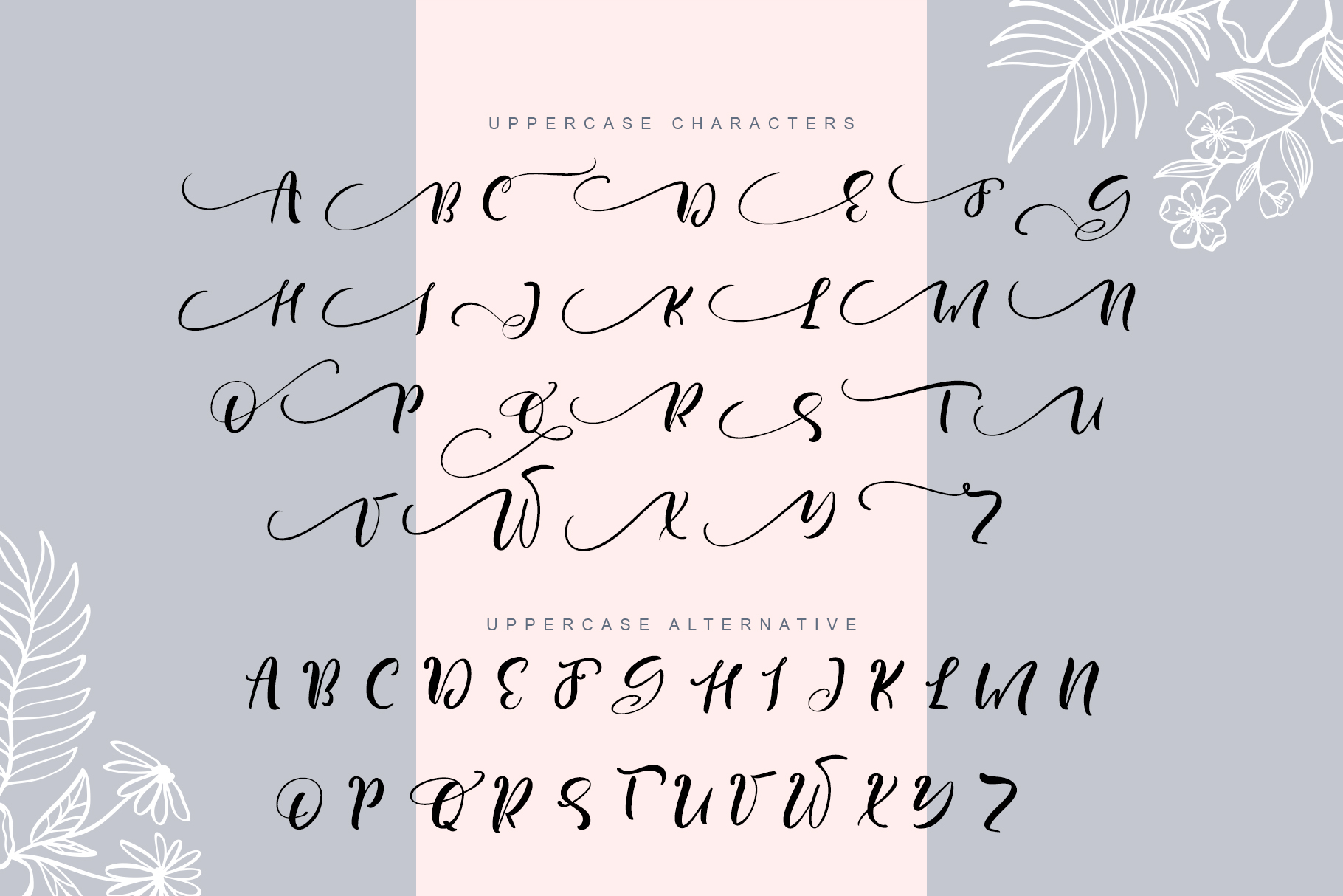 free fonts calligraphic