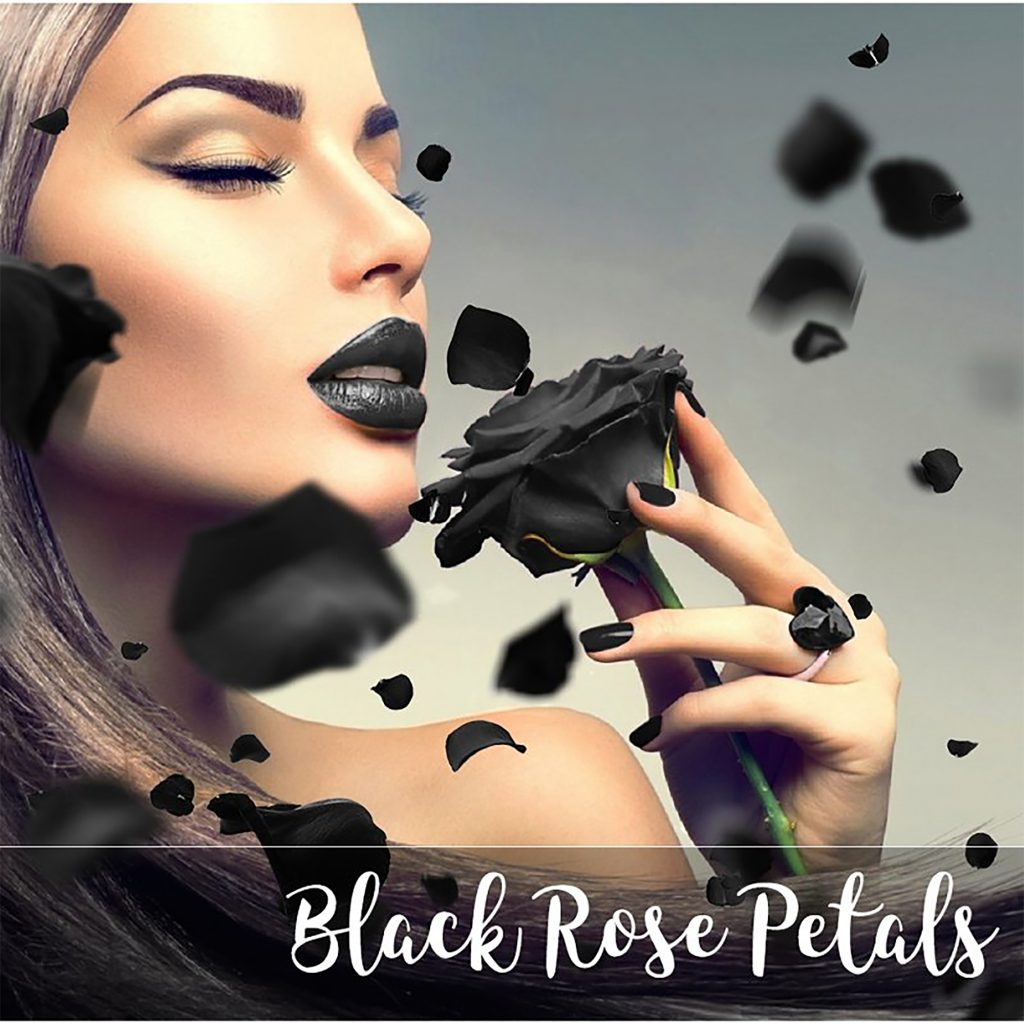 20 Black Rose Petals Overlays MasterBundles