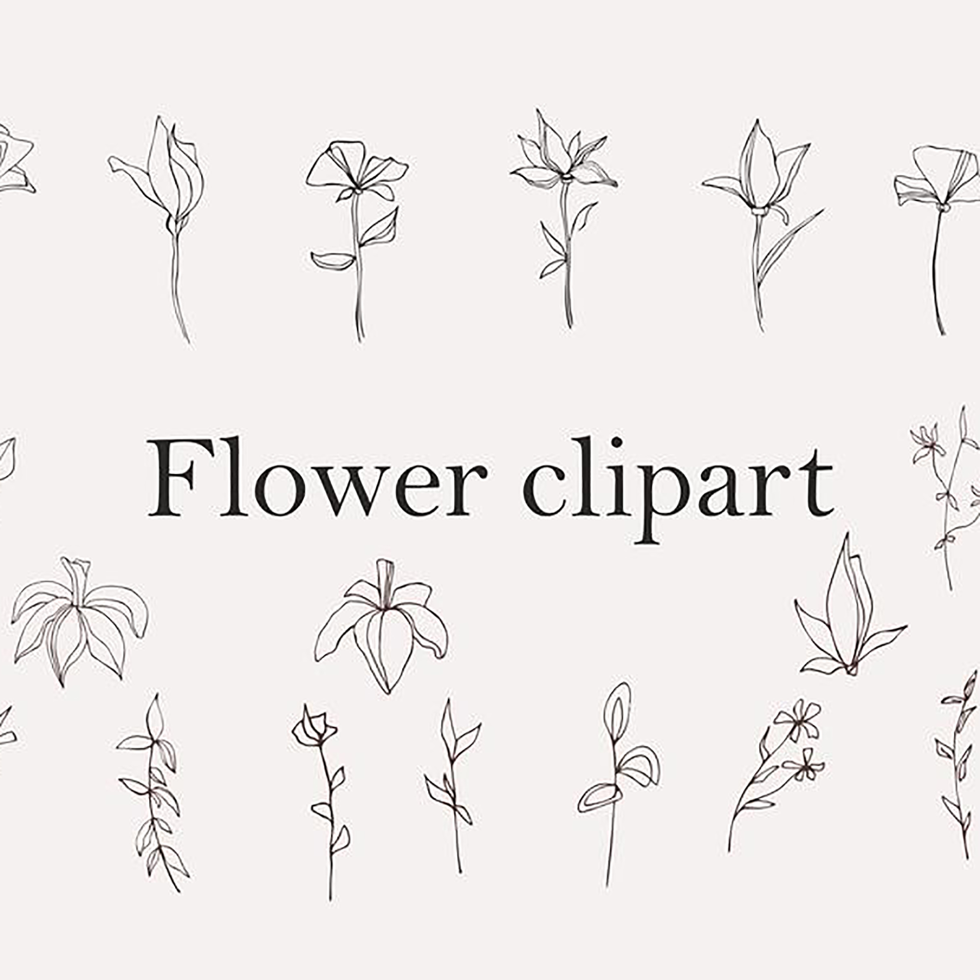 Flower Illustration Black And White Clip Art