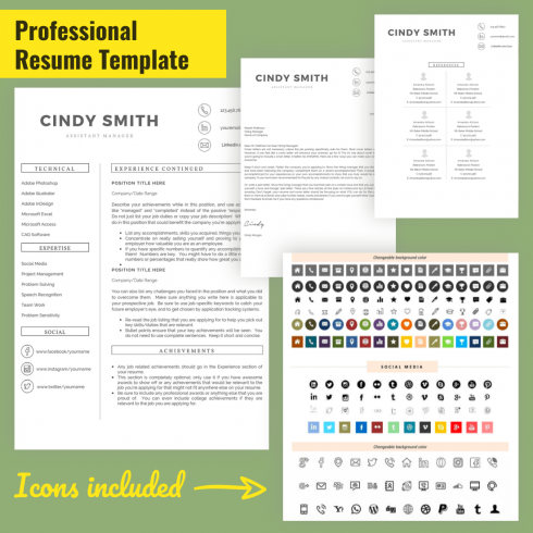 Professional resume template with icons and colors.