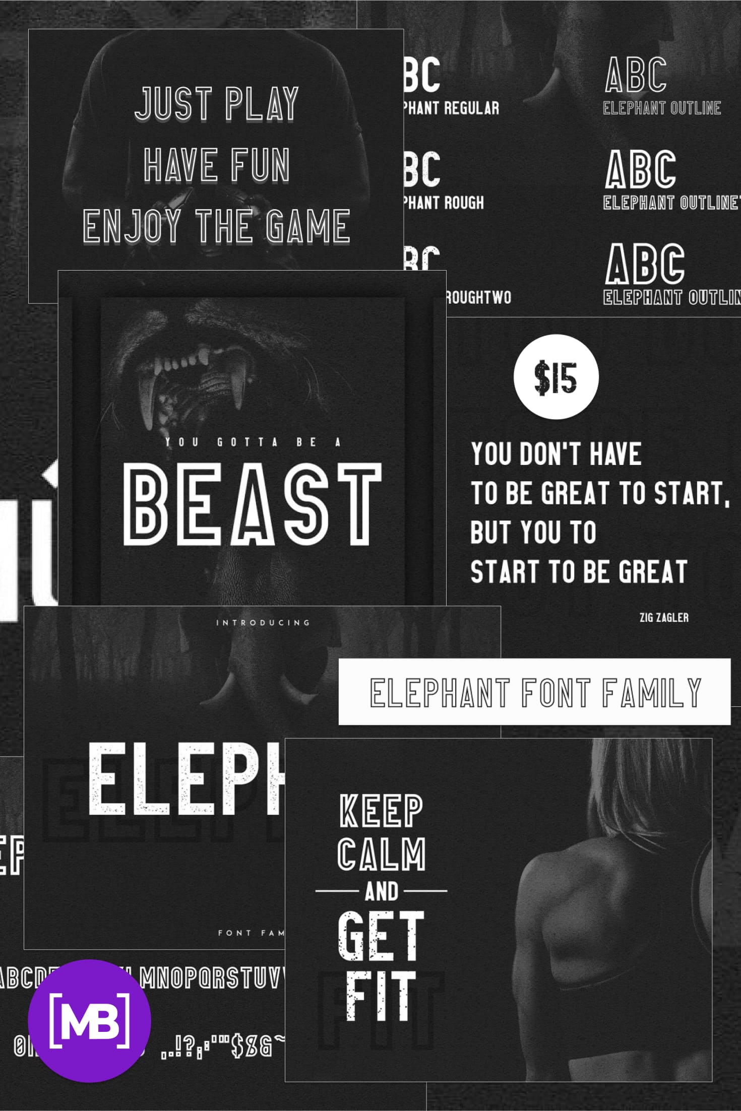 Pinterest Image: Elephant Font Family: Family Matters Fonts- 50%.