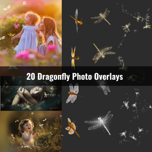 Dragonfly Photo Overlays