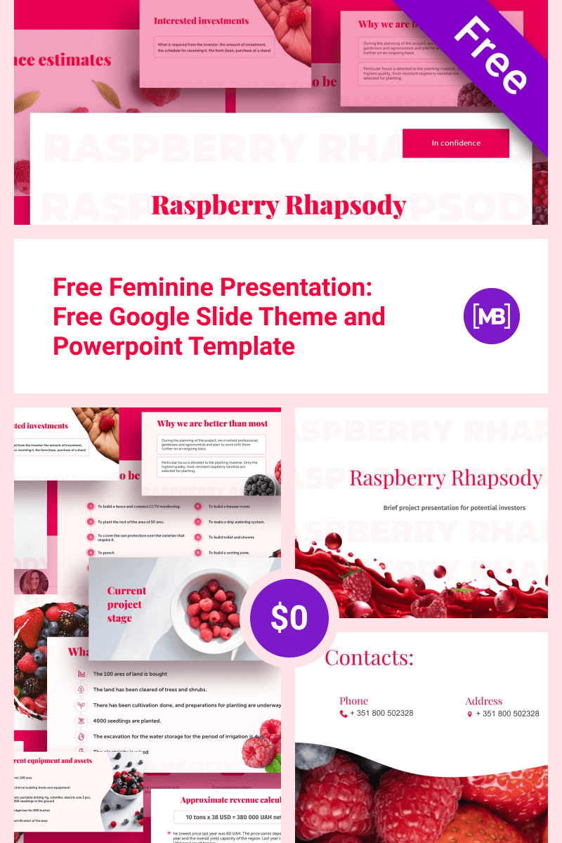 Free Feminine Presentation: Free Google Slide Theme and Powerpoint Template. Collage Image.