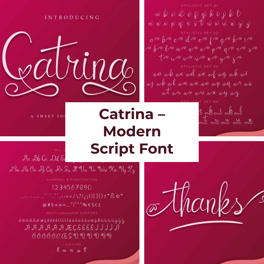 Catrina Modern Script Font 3 Master Bundles