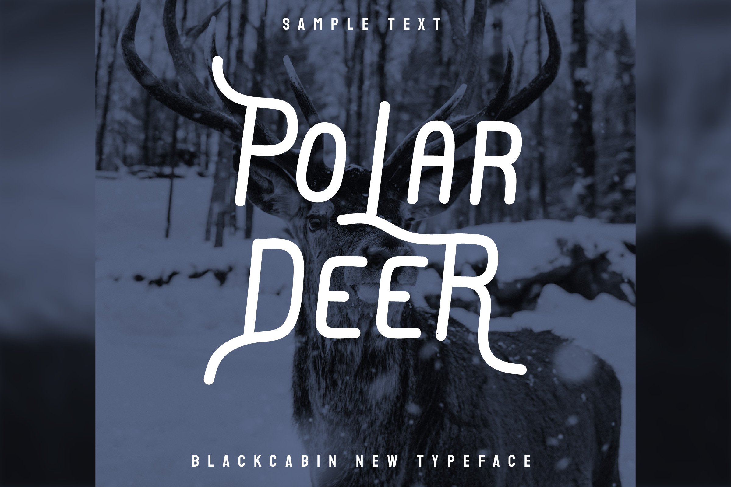 Original flowing font on the background of the polar deer.