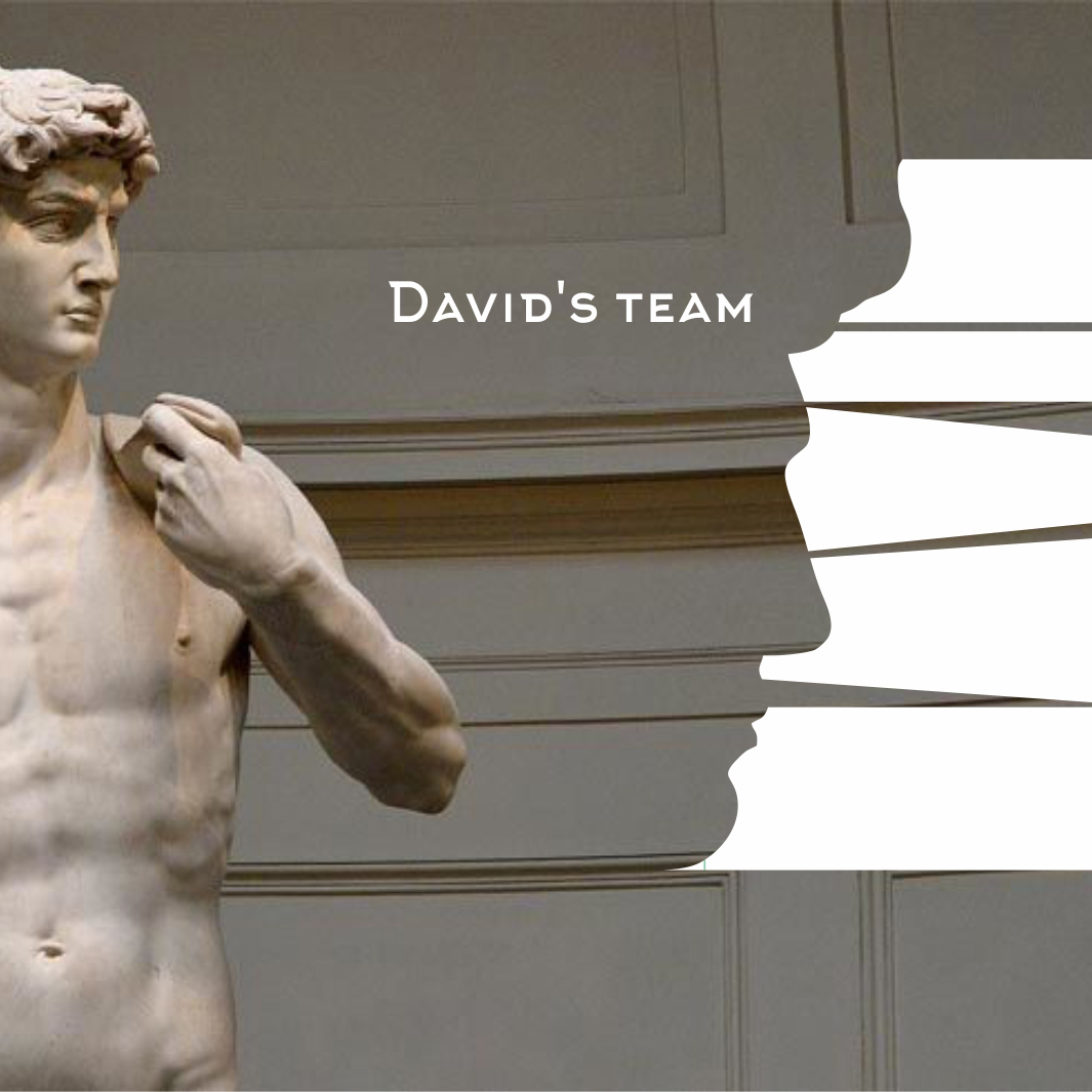 Creative Exclusive Logo «David's Team» Graphics element.