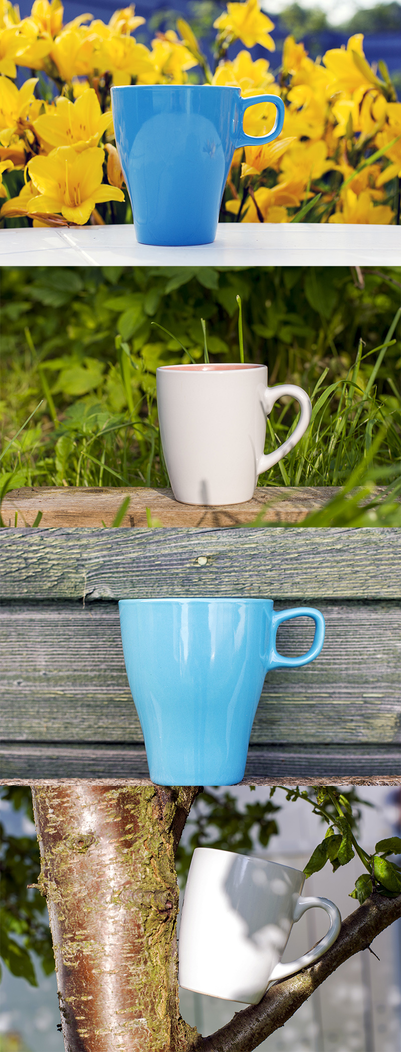 The mugs went out for a walk. They can be seen on a bench, near flowers and even between branches.