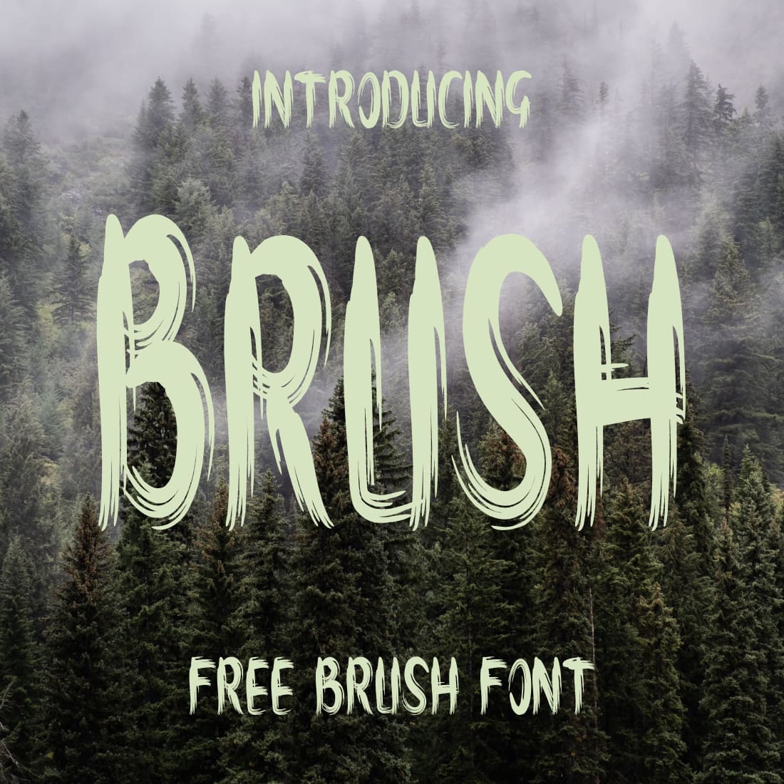 Amazing brush font free Cover collage image by MasterBundles.