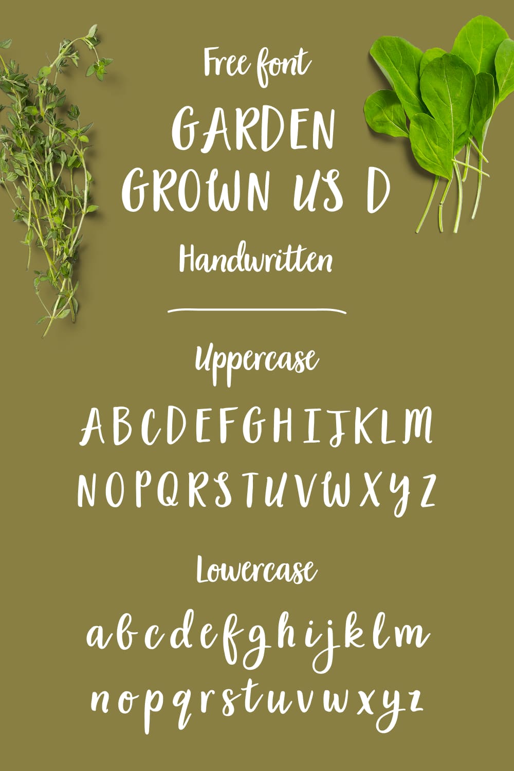 Pinterest Handwritten alphabet preview garden grown font free MasterBundles.