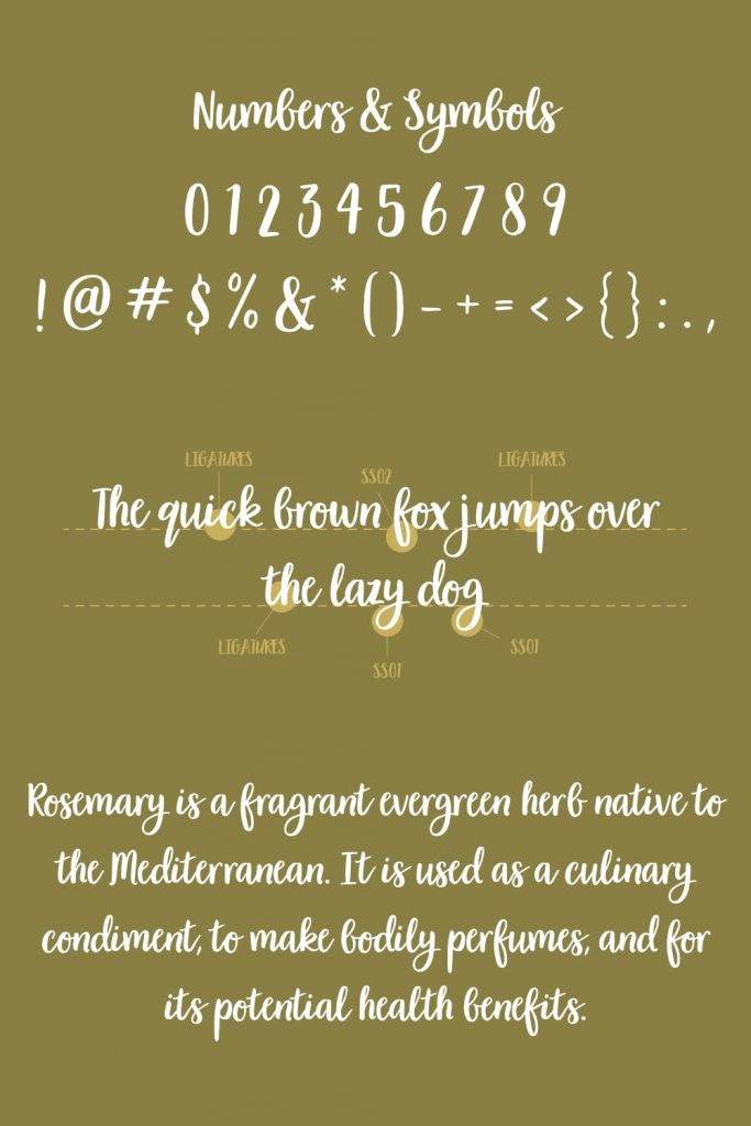 Pinterest image Numbers and Punctuation example for garden grown font free.