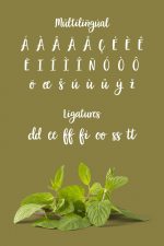 Garden Grown Font Free – MasterBundles