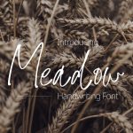 Meadow Handwriting Font Cover Collage Image by MasterBundles.