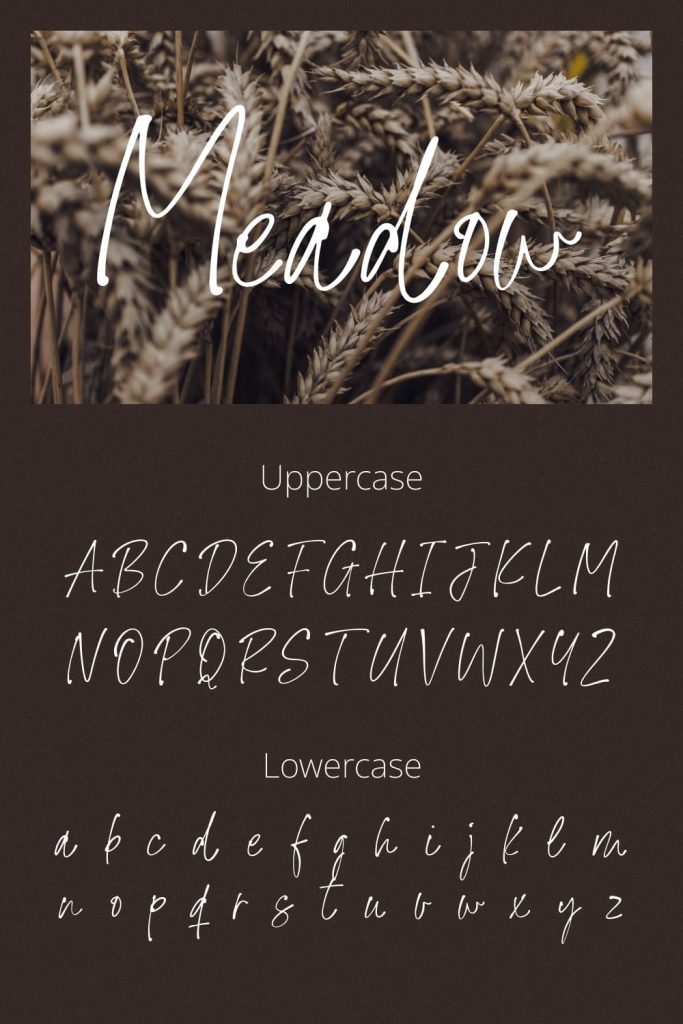 Pinterest Collage Image with Uppercase and Lowercase preview for Meadow Handwriting Font by MasterBundles.