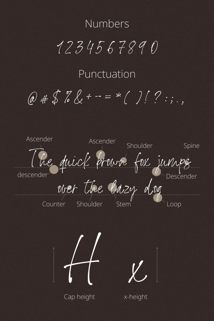 MasterBundles Meadow Handwriting Font Pinterest Collage Image with Numbers and Punctuation.