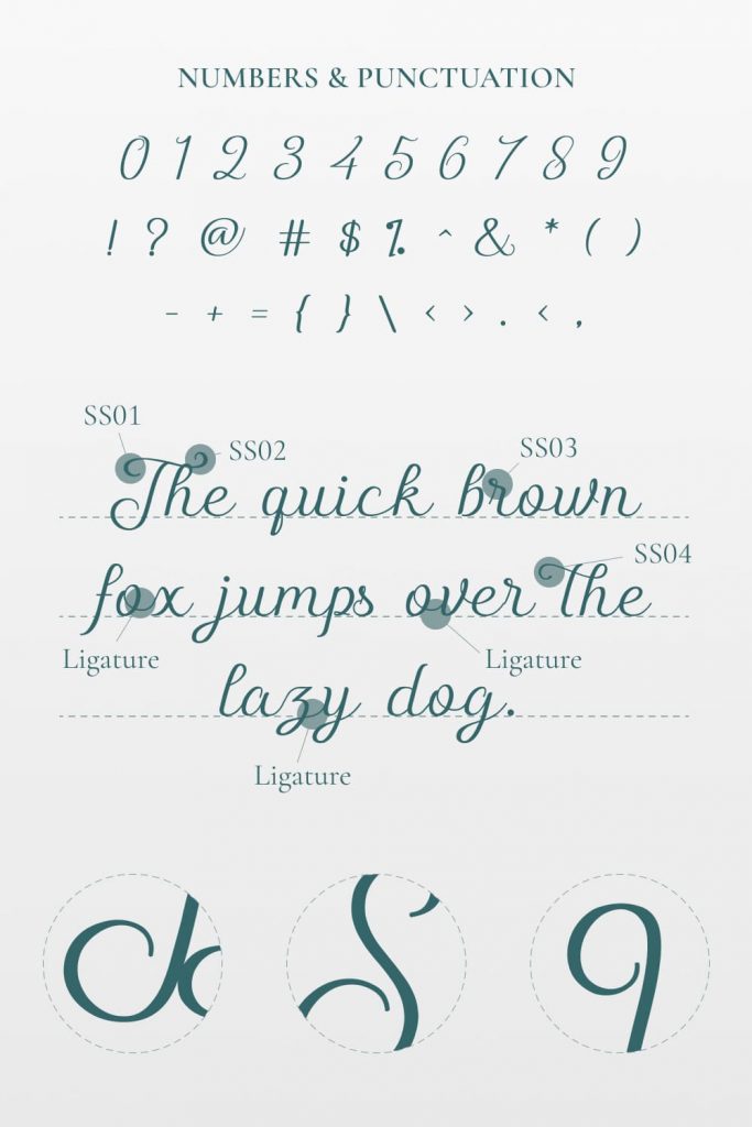Shelly free script font Pinterest Numbers and Punctuation Preview.