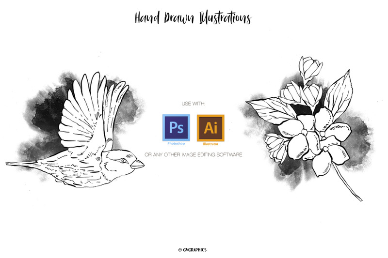11 Hand Drawn Vector Flowers and Birds Availabel Programs.