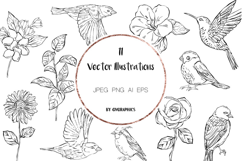 11 Hand Drawn Vector Flowers and Birds 11 Hand Drawn Vector Flowers and Birds.
