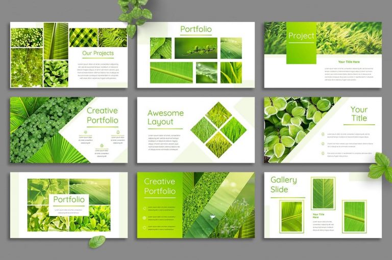 Leaf - Powerpoint Template – MasterBundles