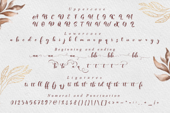 includes full set of lovely uppercase and lowercase letters, multilingual symbols, numerals, punctuation and ligatures.