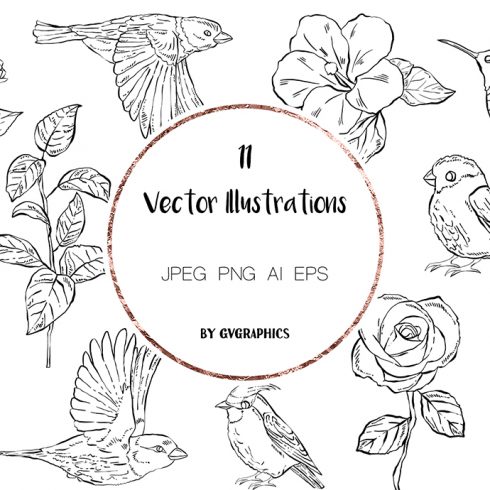 Preview 11 Hand Drawn Vector Flowers and Birds.