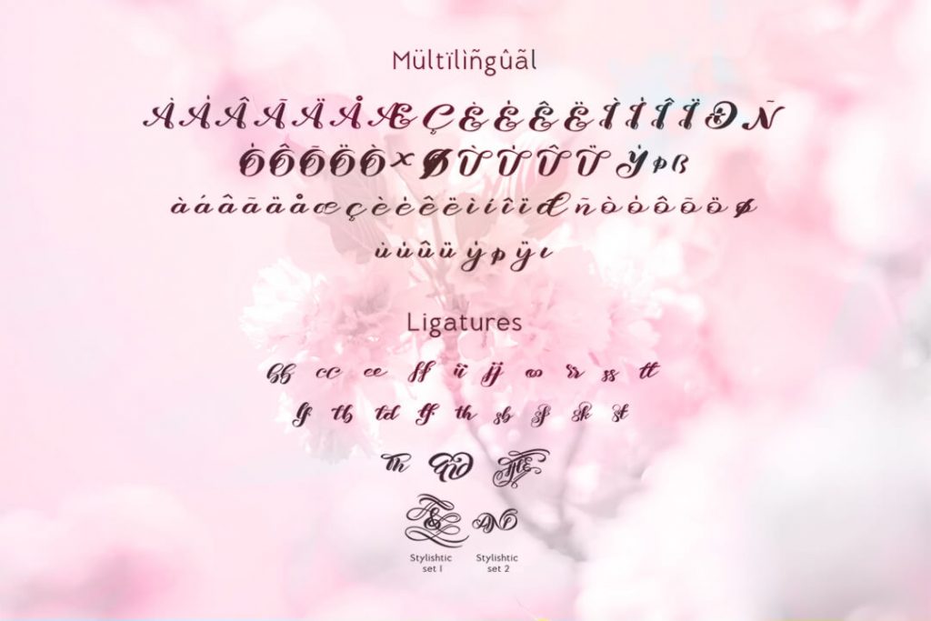 Multilingual Risalove script Font Preview.