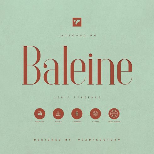 Baleine – Slab Serif Font 4 weights Preview images.